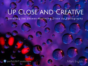 Notes on Focus Stacking